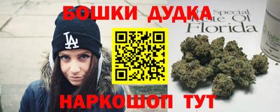индика Кунгур